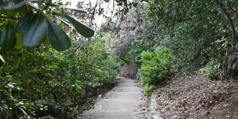 Interdiction partielle de circulation et d’accès au jardin Romieu