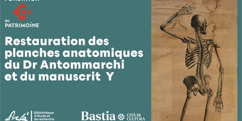 Restauration des planches anatomiques du Dr Antommarchi et du manuscrit « Y »